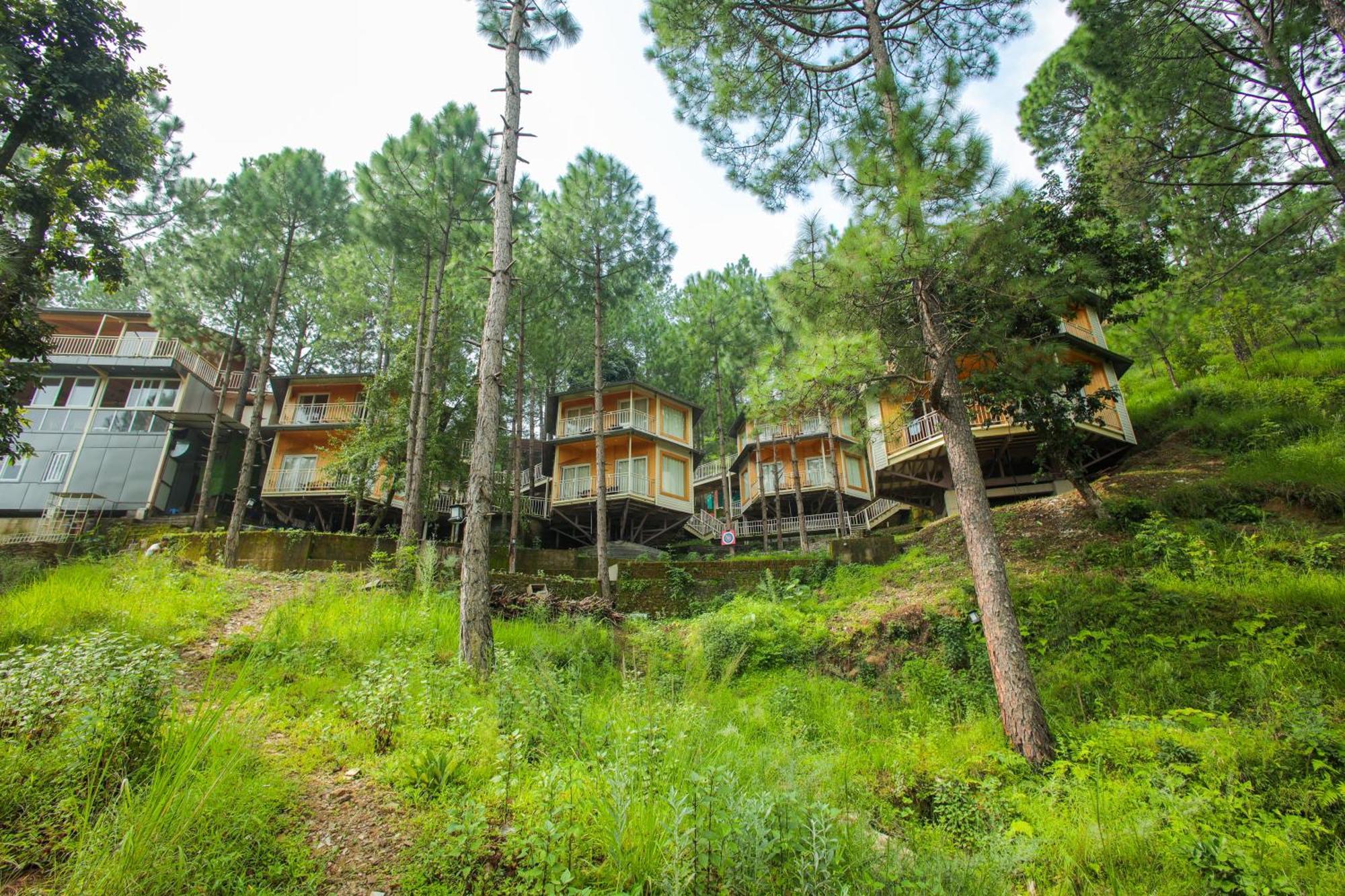 ホテル The Woods Retreat ランズドーン エクステリア 写真